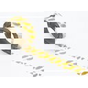 Gold Feather Ticket Stub Washi Tape | Gift Wrapping and Craft Tape