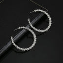 Silver Regal Queen Textured Hoop Earrings (Gold or Silver)