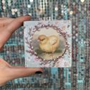 Chick Vintage Easter Spring Decor | 3" x 3" x 1" Cute and Funny Graphic Wooden Box Signs with Sayings for Gallery Walls