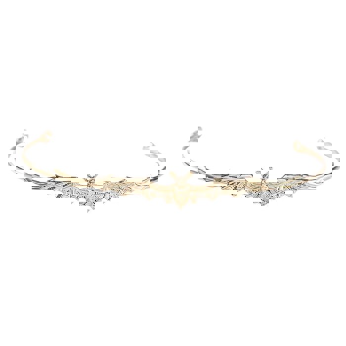 Bat Power Headband Tiara in Silver or Gold | Spooky Headwear Accessory | Halloween, Goth Hairpiece