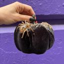 Black Velvet with Spiders Disco Pumpkins - Velvet Decor Pumpkins for Halloween - Glitter Neon Flocked Indoor Halloween Decorations