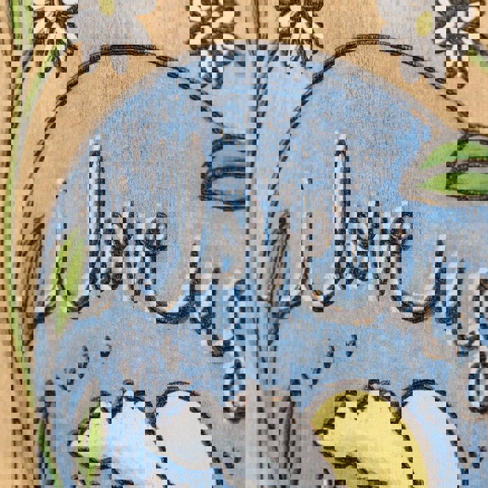 Cute and Funny Graphic Wooden Box Signs with Sayings for Gallery Walls