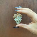 Pearl Grapes Classic Brooch Collection with Gem Embellishments Metal Alloy [8+ Style Options]