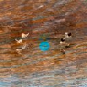 Mini Owl Classic Brooch Collection with Gem Embellishments Metal Alloy [8+ Style Options]