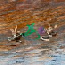 Tulip Classic Brooch Collection with Gem Embellishments Metal Alloy [8+ Style Options]