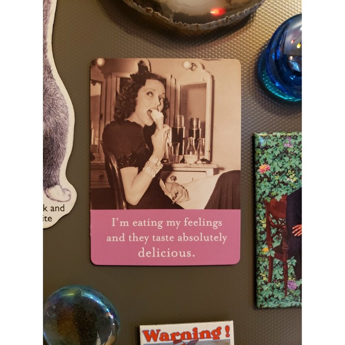 Retro Ladies Funny Fridge Magnets | Gift Stocking Stuffer 1950s Quotes Refrigerator Flexible Magnets
