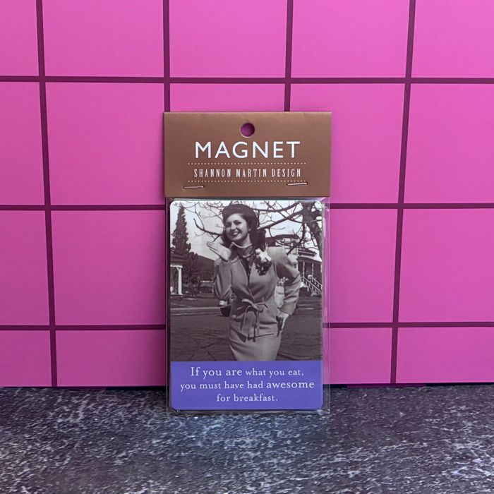 Retro Ladies Funny Fridge Magnets | Gift Stocking Stuffer 1950s Quotes Refrigerator Flexible Magnets