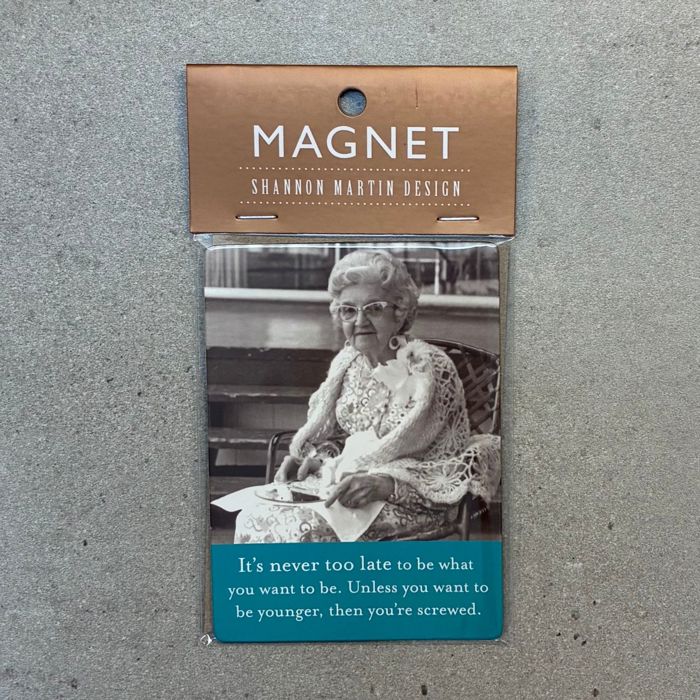 Retro Ladies Funny Fridge Magnets | Gift Stocking Stuffer 1950s Quotes Refrigerator Flexible Magnets