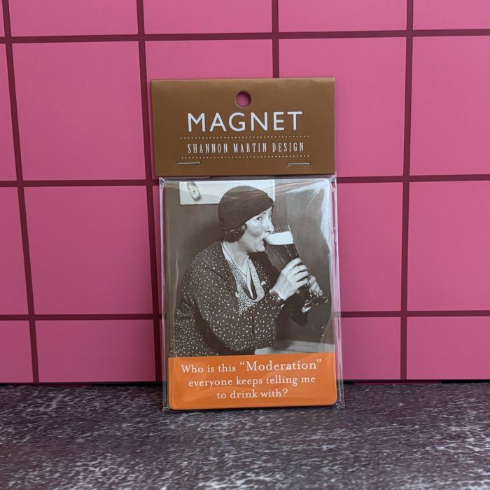 Retro Ladies Funny Fridge Magnets | Gift Stocking Stuffer 1950s Quotes Refrigerator Flexible Magnets