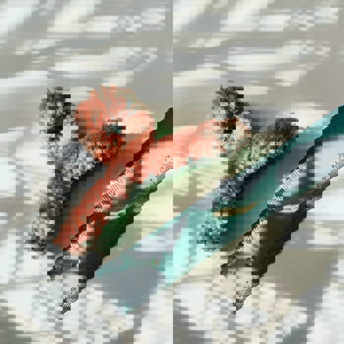 Velvet Claws Plush Hair Clips | Faux Fur Hair Claws