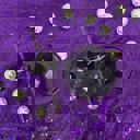 Indoorsy Glass Tumbler Pretty Glass Cocktail Straw Sippers