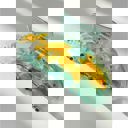 Goldfish Jane Exclusive Hair Claws Stocking Stuffers - Giftable Styles You’ll Love