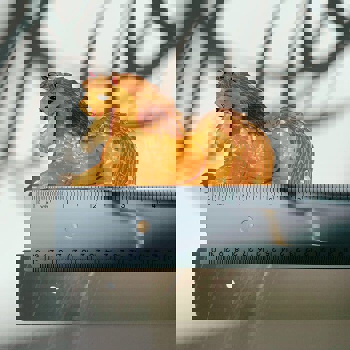 Jane Exclusive Hair Claws Stocking Stuffers - Giftable Styles You’ll Love