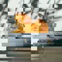 Golden Horse Jane Exclusive Hair Claws Stocking Stuffers - Giftable Styles You’ll Love