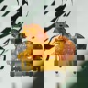 Golden Horse Jane Exclusive Hair Claws Stocking Stuffers - Giftable Styles You’ll Love