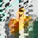 Golden Horse Jane Exclusive Hair Claws Stocking Stuffers - Giftable Styles You’ll Love