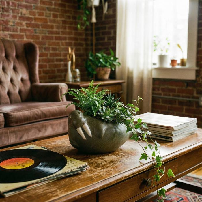 Animal Shaped Plant Pots - Fish, Zebra, Walrus, Giraffe, Hedgehog, Llama and more