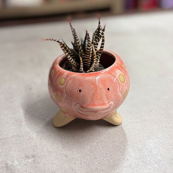 Animal Shaped Plant Pots - Fish, Zebra, Walrus, Giraffe, Hedgehog, Llama and more