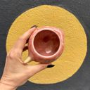 Pink Fish Mini Planter Pot | Tropical Shaped Fish Pot | Decorative Animal Design | 5" x 3" Animal Shaped Plant Pots - Fish, Zebra, Walrus, Giraffe, Hedgehog, Llama and more