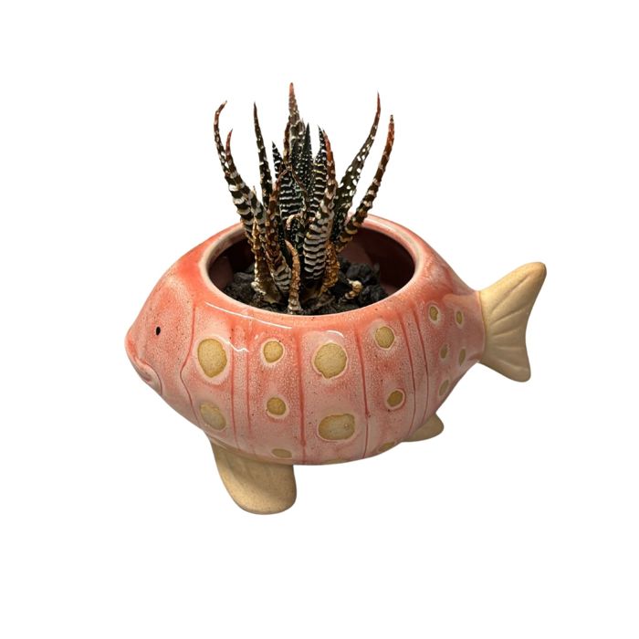Animal Shaped Plant Pots - Fish, Zebra, Walrus, Giraffe, Hedgehog, Llama and more