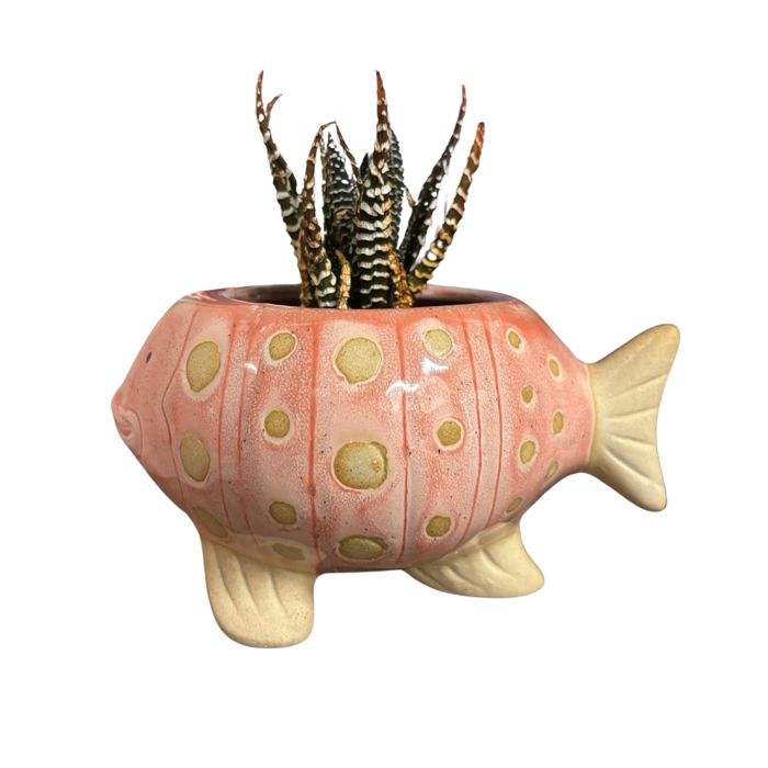 Animal Shaped Plant Pots - Fish, Zebra, Walrus, Giraffe, Hedgehog, Llama and more