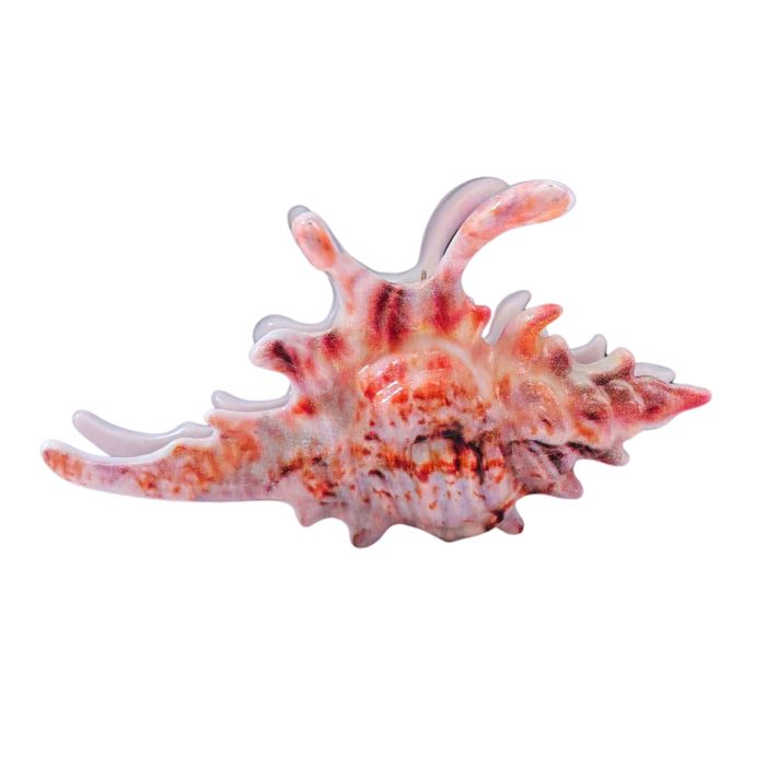 Realistic Conch Shell Hair Claw in Natural Brown and White | Claw Clip Hair Accessories