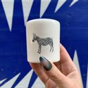  Zebra Salt And Pepper Shakers Set and Vase Planter Bundle | Zebra Lover Gifts
