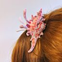  Realistic Conch Shell Hair Claw in Natural Brown and White | Claw Clip Hair Accessories
