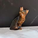  Ultra Realistic Brown Tabby Cat Hair Claw | Claw Clip Hair Accessories