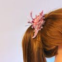 Realistic Conch Shell Hair Claw in Natural Brown and White | Claw Clip Hair Accessories