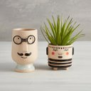  Man Face Planter Ceramic Pot | Plant Lover Gifts Funny Indoor Planter