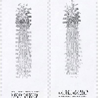 Rare Breed Tea Towel | Dog Illustration Ultra Absorbent Kitchen Dish Cloth | 30'' sq