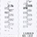  Rare Breed Tea Towel | Dog Illustration Ultra Absorbent Kitchen Dish Cloth | 30'' sq