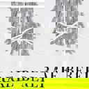  Rare Breed Tea Towel | Dog Illustration Ultra Absorbent Kitchen Dish Cloth | 30'' sq