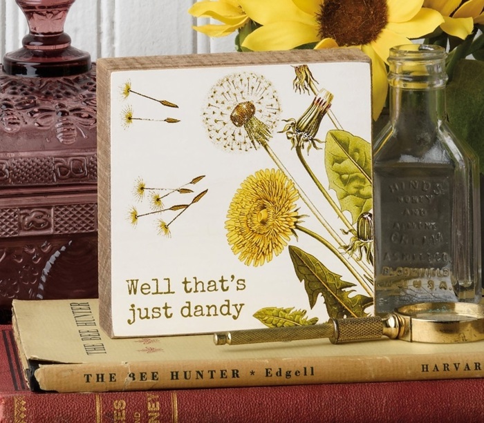 Cute and Funny Graphic Wooden Box Signs with Sayings for Gallery Walls