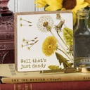 Well That's Just Dandy Cute and Funny Graphic Wooden Box Signs with Sayings for Gallery Walls