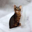  Ultra Realistic Brown Tabby Cat Hair Claw | Claw Clip Hair Accessories