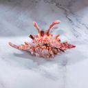  Realistic Conch Shell Hair Claw in Natural Brown and White | Claw Clip Hair Accessories