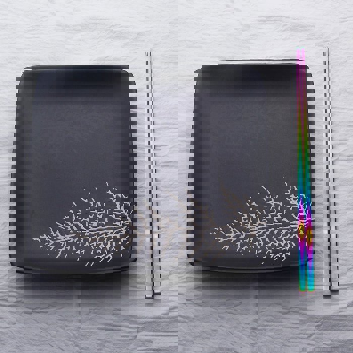Set of 2 Pairs Holographic Rainbow Chopsticks in Stainless Steel