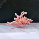  Realistic Conch Shell Hair Claw in Natural Brown and White | Claw Clip Hair Accessories