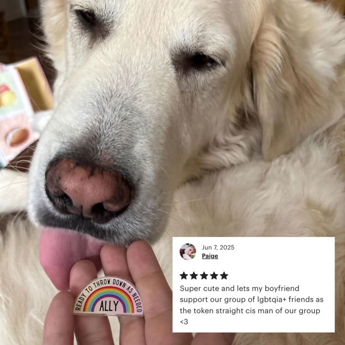 Ally Ready to Throw Down LGBTQ Rainbow Acrylic Lapel Pin Brooch