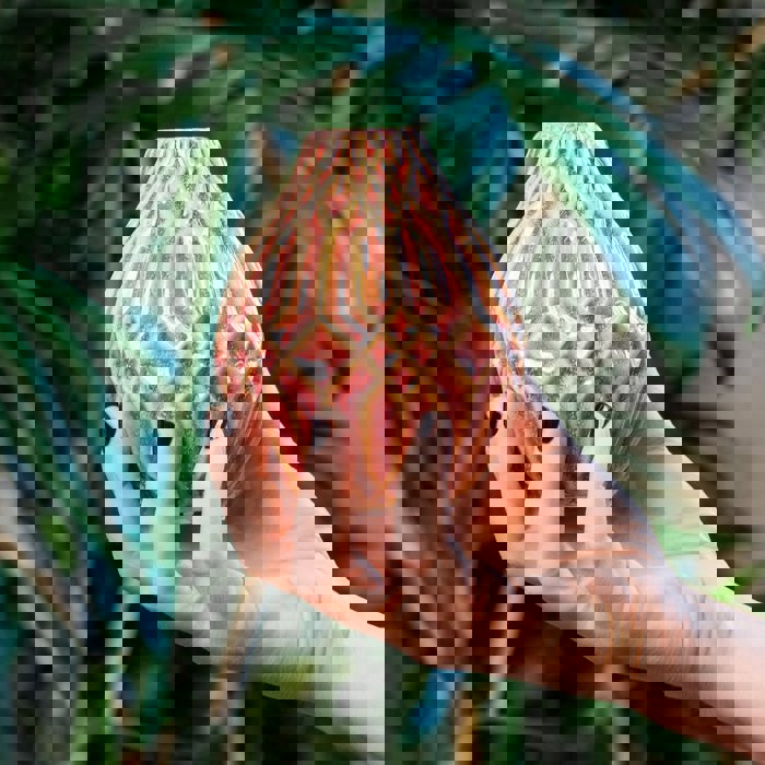 Amber Decorative Vase | Small Modern Accent Vase | 4.33" Tall