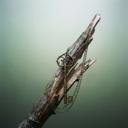  Antique Key Pendant Necklace | Aged Brass Tone or Silver | Book Lover Bibliophile Vintage Gifts