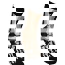  Bad To The Bone Socks in Skeleton Leg Designs  | Fun Halloween Themed Novelty Socks