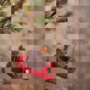  Bear in Canoe Critter Ornament Decor | Nature Love Home Accent