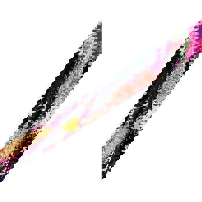 Black Tropics Washi Tape | Gift Wrapping and Craft Tape