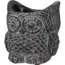  Cement Owl Planter in Dark Gray | Succulents Greenery Plant Pot | Decorative Indoor Outdoor Garden Décor