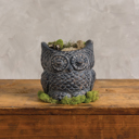 Cement Owl Planter in Dark Gray | Succulents Greenery Plant Pot | Decorative Indoor Outdoor Garden Décor