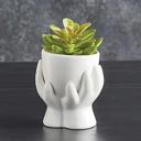  Ceramic Hands Mini Planter | Decorative Mini Aesthetic Plant Pot for Succulents & Flowers