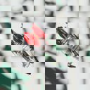  Cherries on Stem Mini Hair Claw